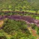 Ajanta Caves