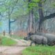 Top National Parks in India