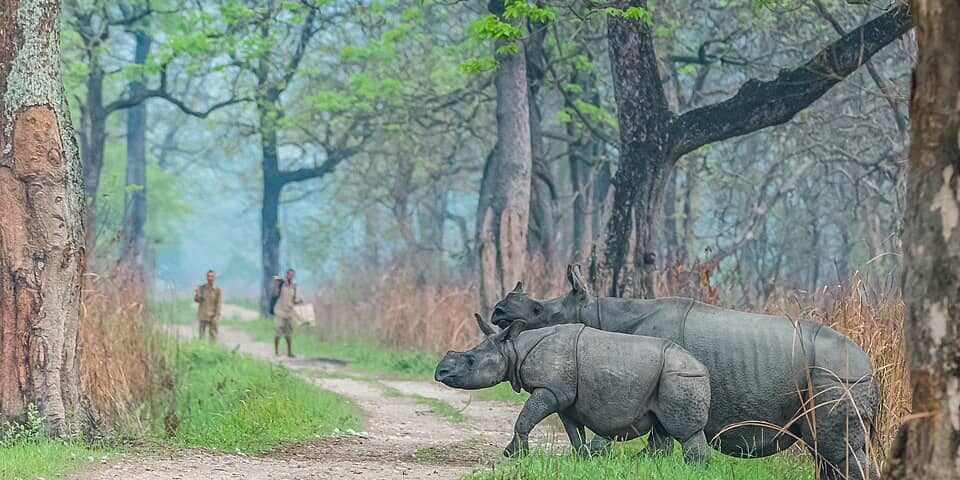 Top National Parks in India