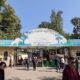 Top 8 Zoos in Kazakhstan