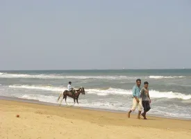 Marina Beach visiting hours