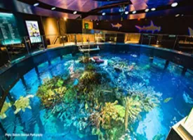 The New England Aquarium visiting hours