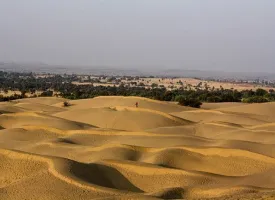 Thar Desert visiting hours