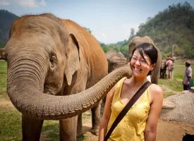 Elephant Nature Park visiting hours