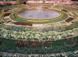 Mughal Garden visiting hours