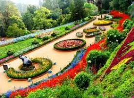 Government Botanical Gardens