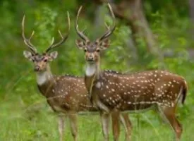 Daying Ering Memorial Wildlife Sanctuary visiting hours