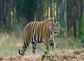 Pakhui Wildlife Sanctuary