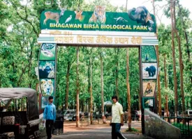 Bhagwan Birsa Biological Park visiting hours