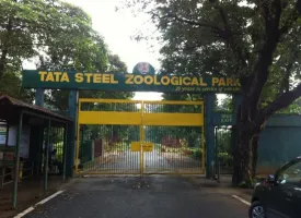 Tata Steel Zoological Park visiting hours
