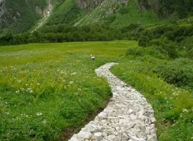 Valley of Flowers National Park visiting hours