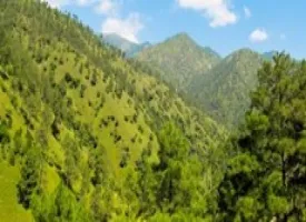Green Valley Shimla visiting hours