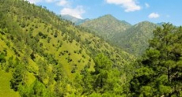 Green Valley Shimla